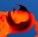 J.T. avatar