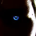 arj avatar